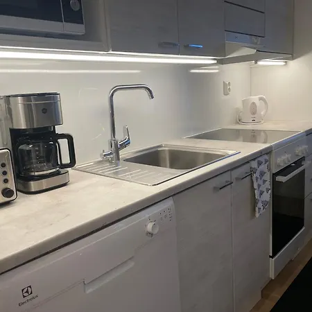 Rudolf - Comfy With Private Sauna & Free Wi-fi Apartment