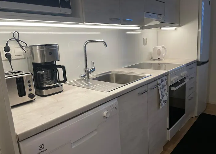 Rudolf - Comfy With Private Sauna & Free Wi-fi Апартаменты